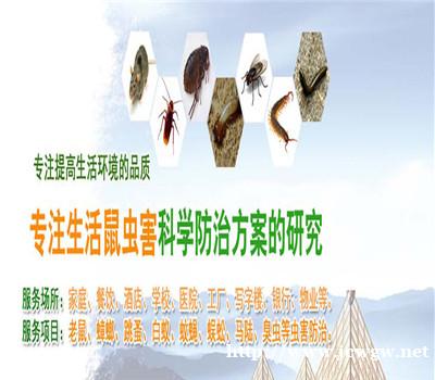汕尾白蚁防治