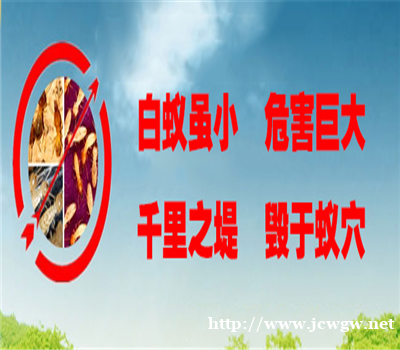 汕尾消杀